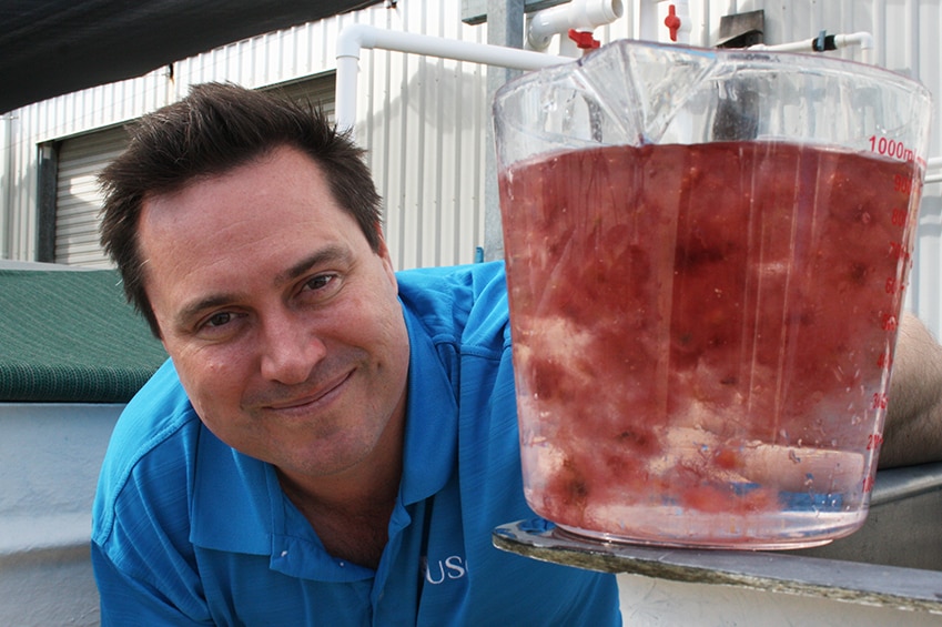 USC Professor Nicholas Paul holds a jug of the puffy pink seaweed called asparagopsis.