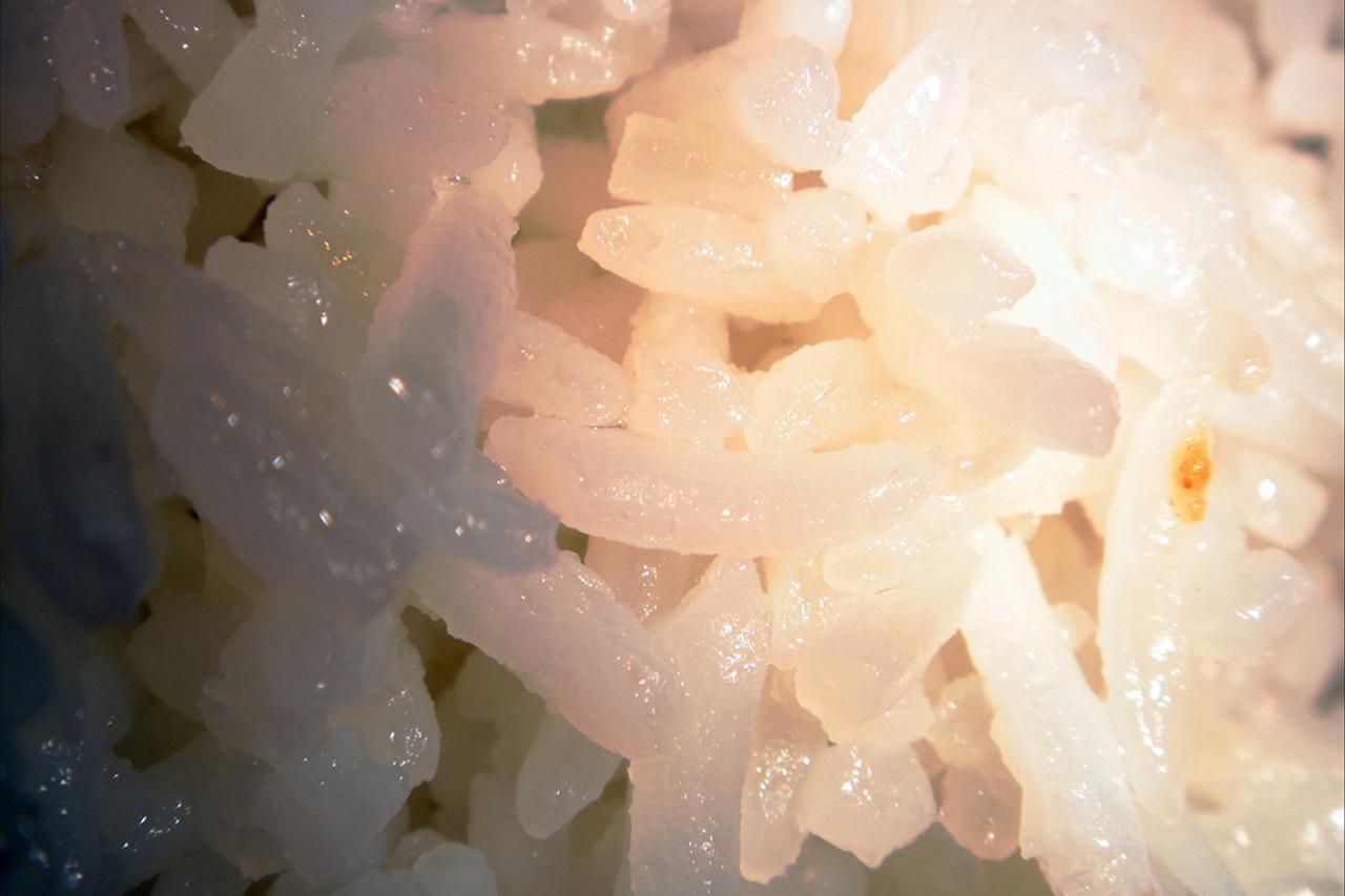 Sticky rice cake - ABC Everyday