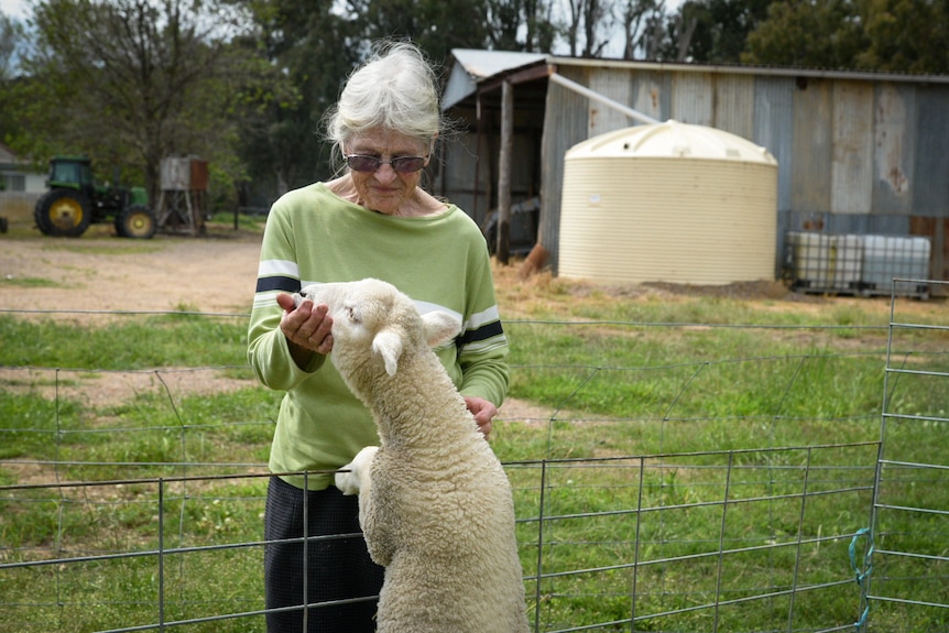 Rose Emery feeding lamb