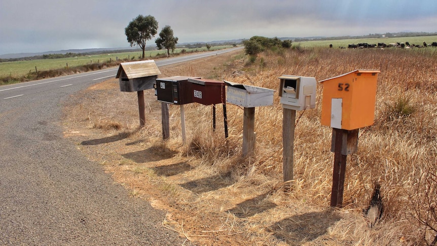 A line of colourful letterboxes on a country road lined with paddocks