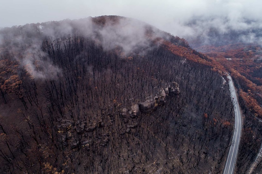 An aerial photograph of burnt out bushland.