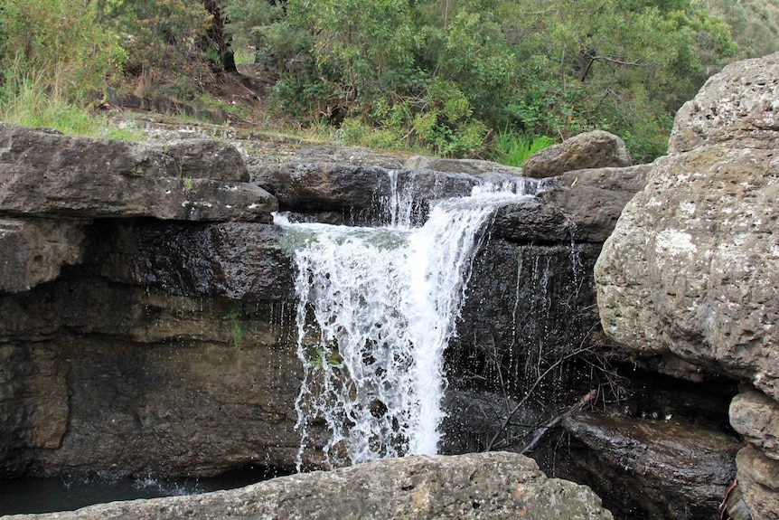 A waterfall in Humphreys Rivulet