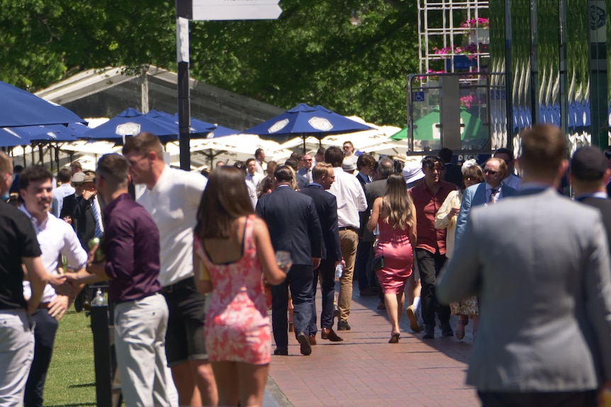 A crowd at the melbourne cup, with people's backs toward the camera.