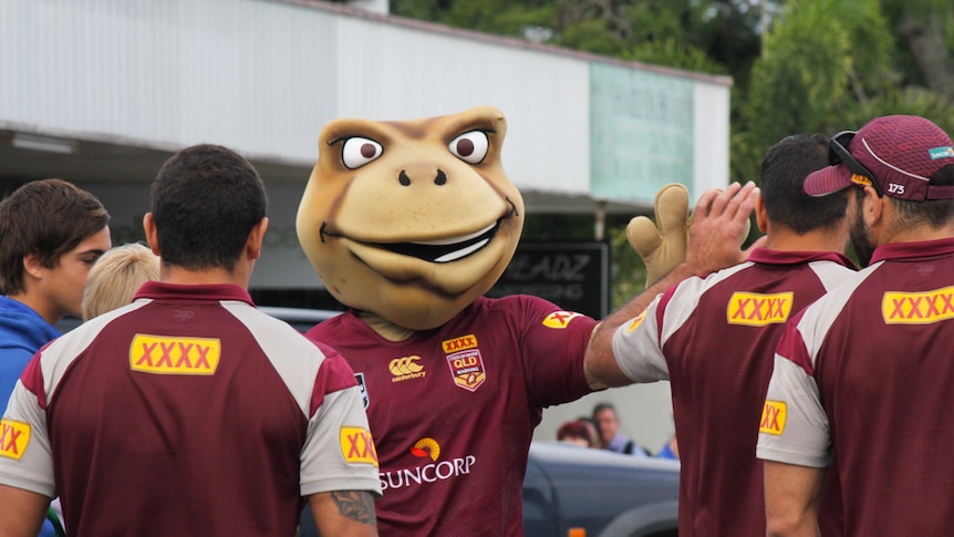 Queensland mascot Kane the cane toad with football players.
