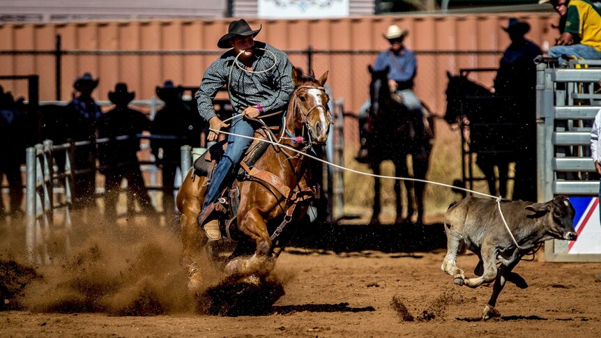 Grant Hanrahan competes in the rope and tie event at the Mt Isa Rodeo.