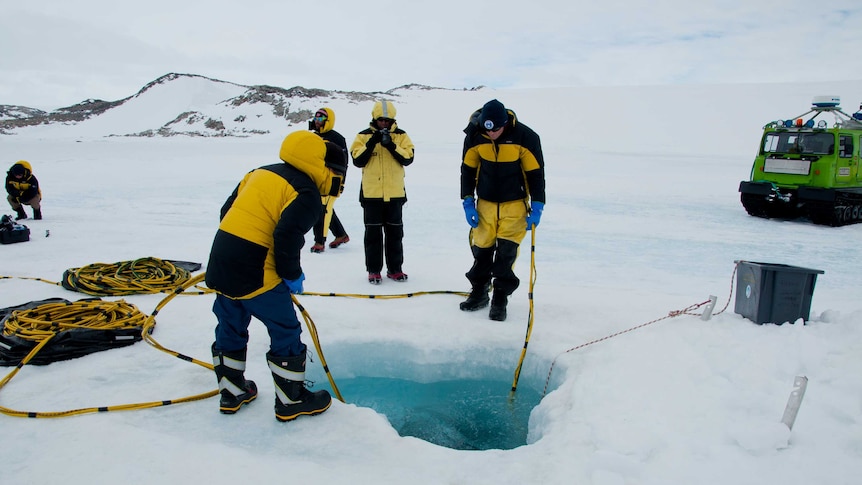 Diving through sea ice near Casey Station, Antarctica