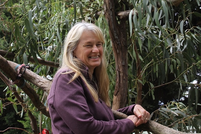 A blonde woman stands in front of a eucalyptus tree  where a koala sits on a cloudy day.