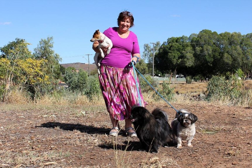 Woman in purple shirt holds dogs on leads