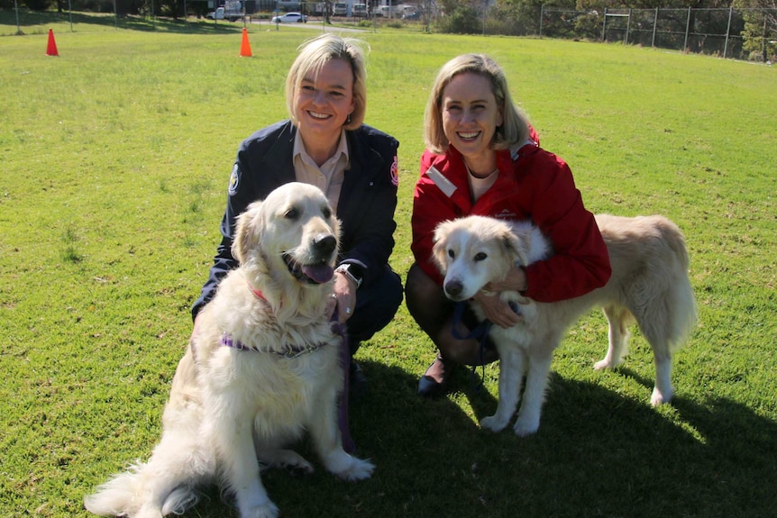 The RSPCA's Nat Foster, with Simone McGurk and two dogs being cared for Perry and Dennis.