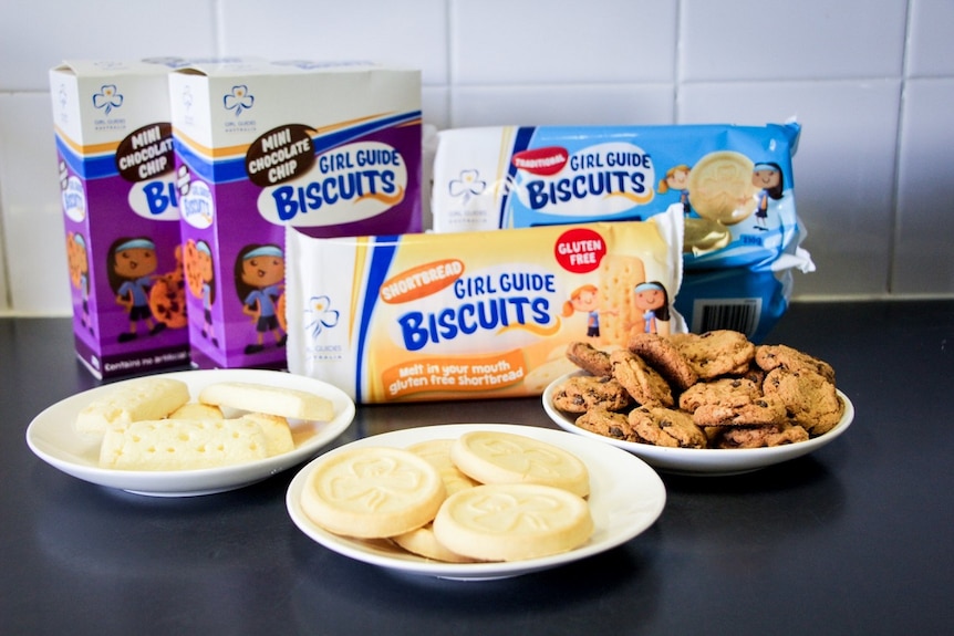 Four packets of Girl Guide biscuits sit on a bench with three plates of the opened biscuits in front.