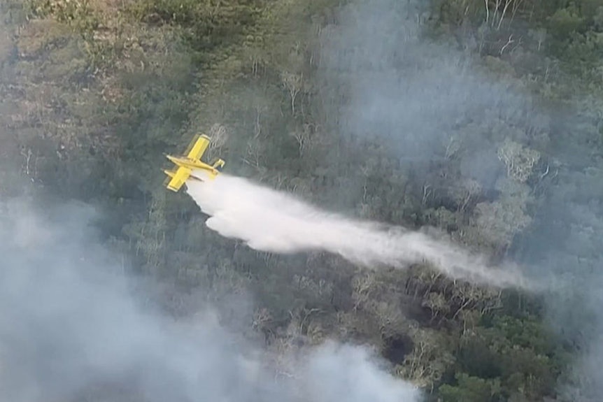 A waterbombing plane flying over bushland
