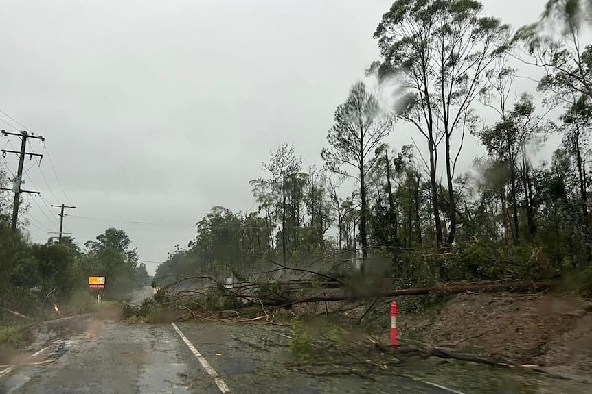 Trees down in Beerwah on the Sunshine Coast after a morning storm