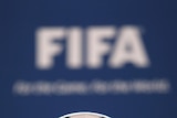 FIFA will decide on December 2 which countries will host the 2018 and 2022 World Cups