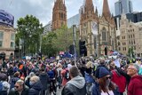 A large crowd of people in Melbourne's CBD holding flags. 