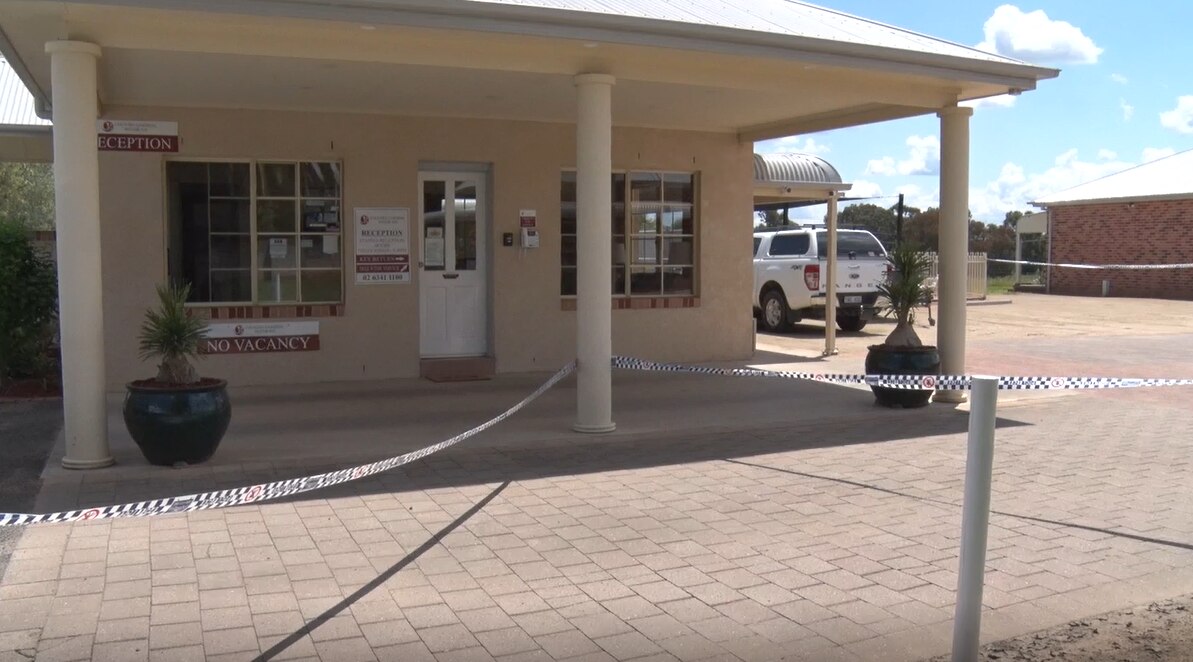 How to pick a Melbourne Cup winner ABC News