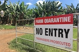 A sign in front of a banana farm warns trespassers not to enter or risk prosecution