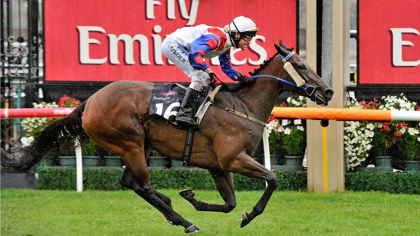 Proving a point: Danny Nikolic salutes on Mosheen in the Australian Guineas.