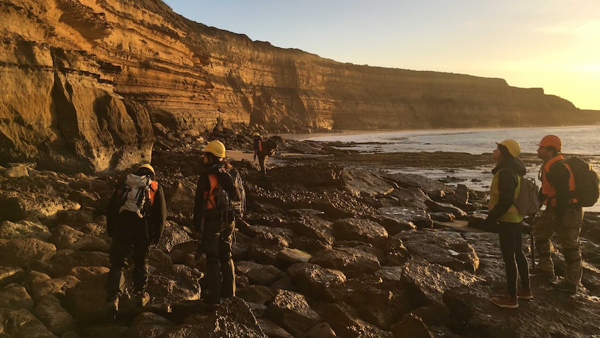 Researchers from Museums Victoria head down to the cliffs at Fisherman's Steps on the Victorian Surf Coast at low tide