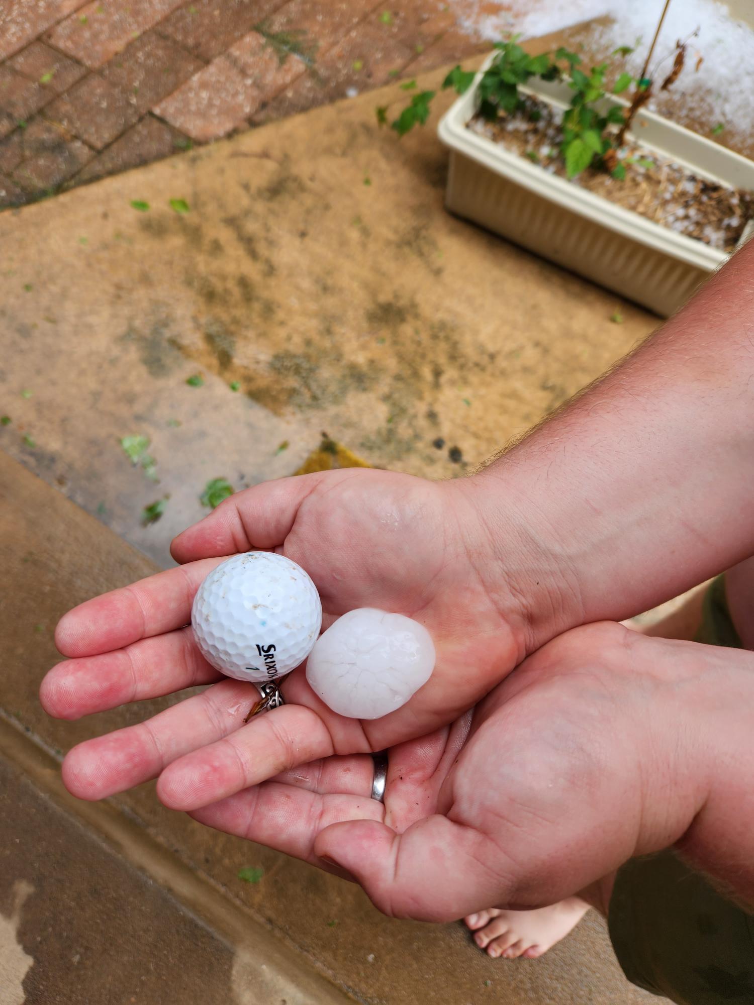 a person holding a golf ball and a hailstone after a hail storm in orange on christmas day 2023