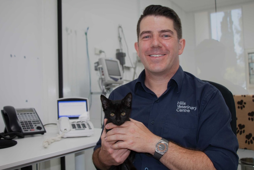 Dr Alex Harrison holds a kitten while sitting in front of two phones in a vet clinic.