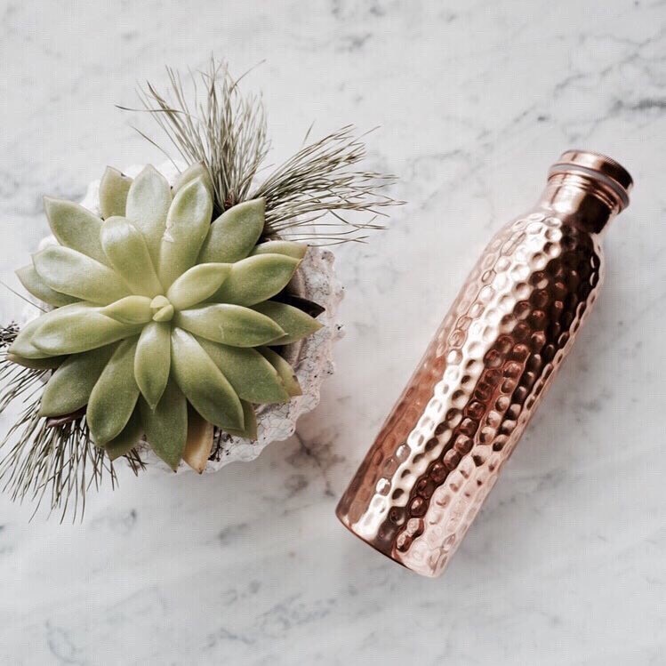 A copper water bottle is displayed next to a small succulent plant.