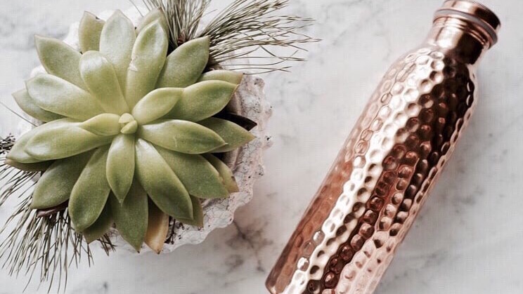 A copper water bottle is displayed next to a small succulent plant.