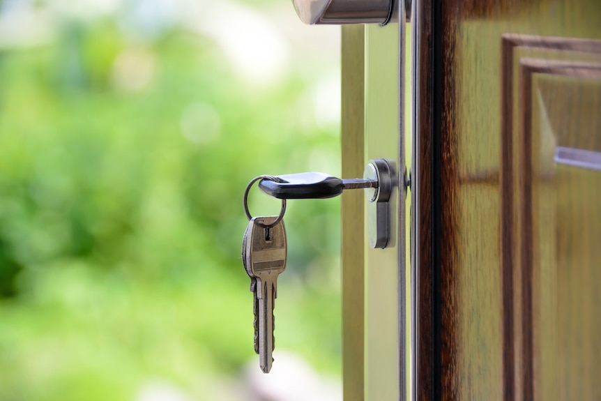 A close up of a plain silver key in a door lock against a background of green foliage.