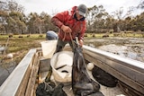 Brad Finlayson pulling eel nets