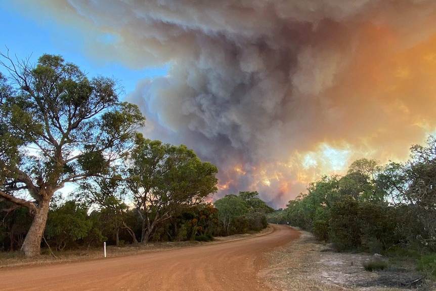 A huge plume of thick smoke from a bushfire rises into the daytime sky above a dirt road and trees.