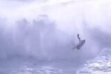 A jet ski crashes into the surf