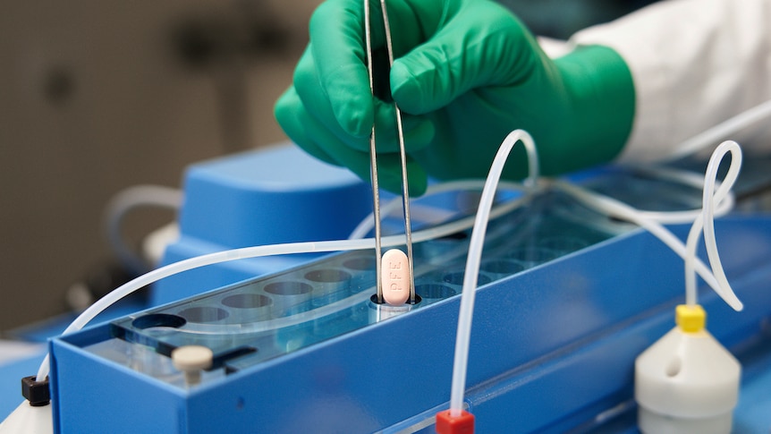A pill being held between teasers by a gloved scientist 