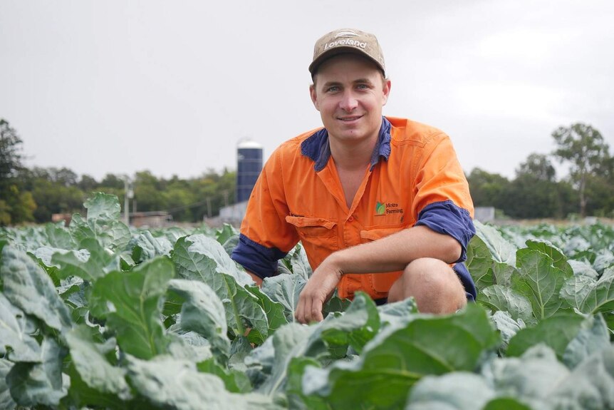 Produce grower Mitchell Brimblecombe kneels in one of his vegetable fields.