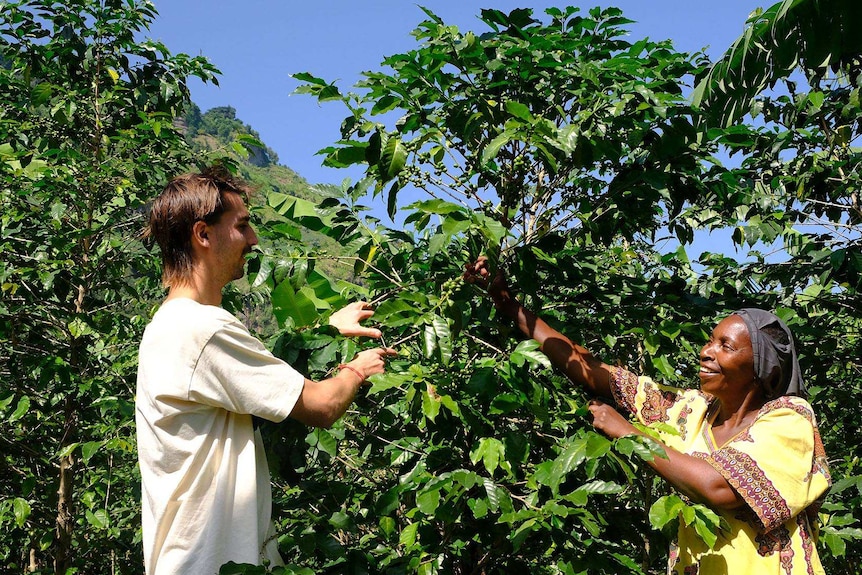 An Australian man and a Ugandan woman standing in front of a coffee plant