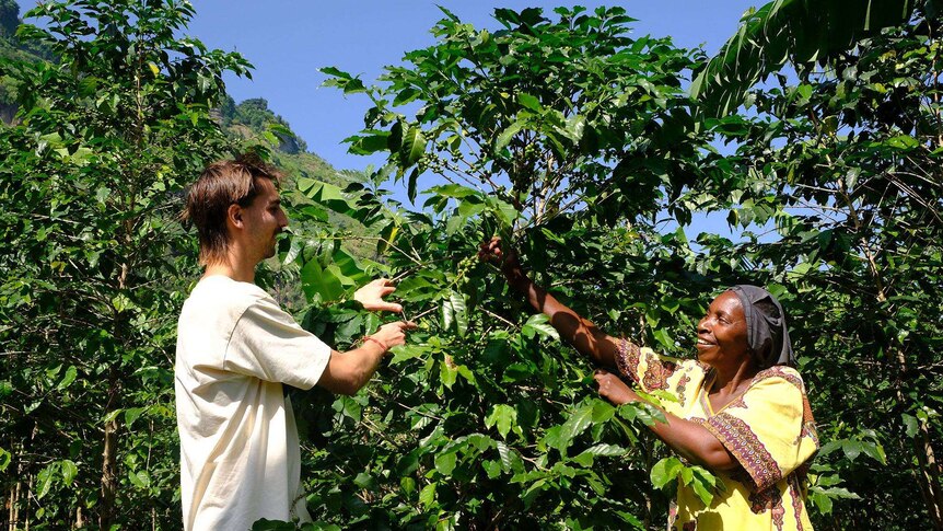 An Australian man and a Ugandan woman standing in front of a coffee plant