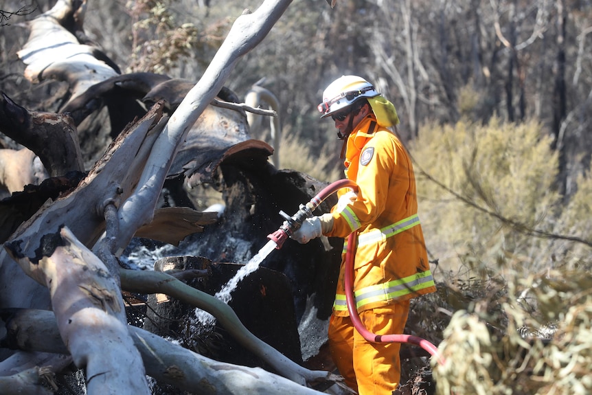 TFS fire crew member working to extinguish bushfires along at Coles Bay Road.