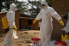 guinea ebola pic
