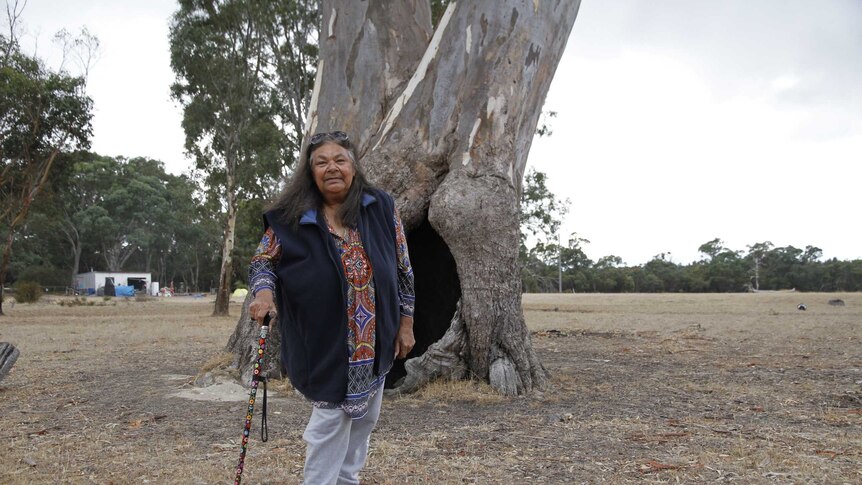 Djab Wurrung elder Aunty Sandra Onus has been leading protests to protect trees she says are culturally significant.