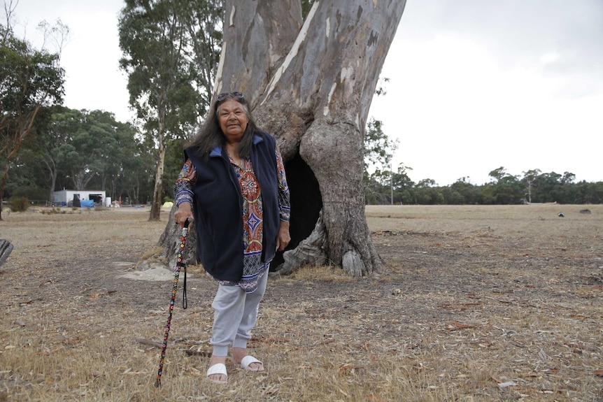 Djab Wurrung elder Aunty Sandra Onus has been leading protests to protect trees she says are culturally significant.