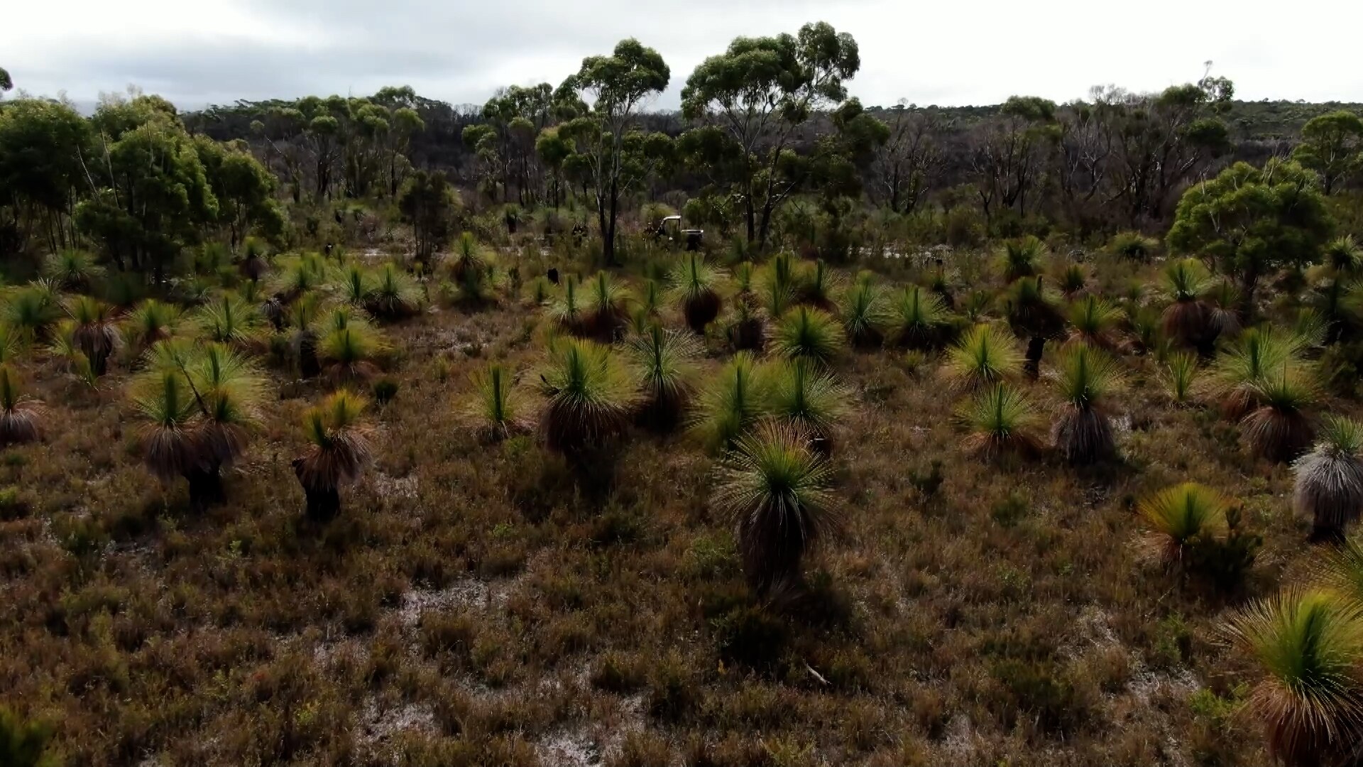 Landcare knowledge is passed down through generations. - ABC News
