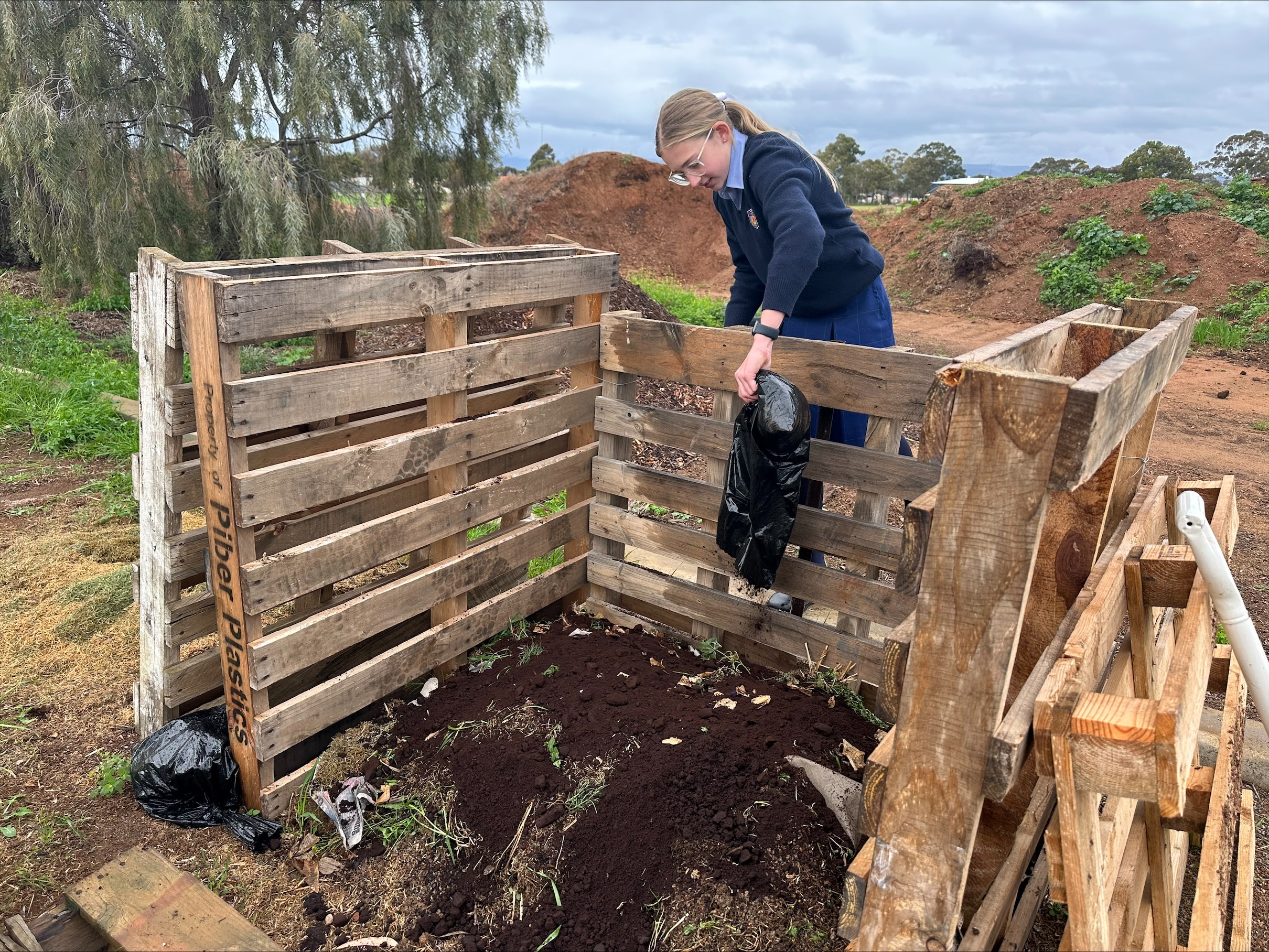 A student pouring coffee grounds into an open compost pin 