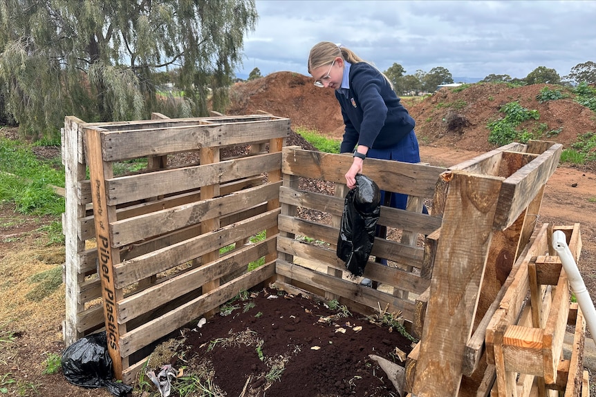 A student pouring coffee grounds into an open compost pin 