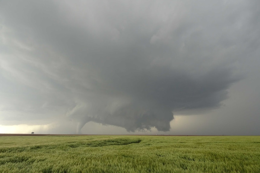 Wild tornado storm