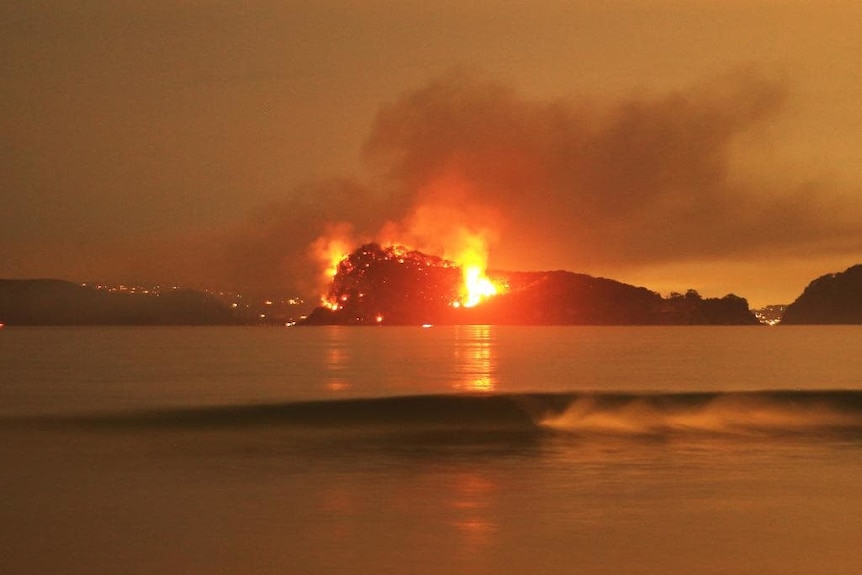 Lion Island on fire