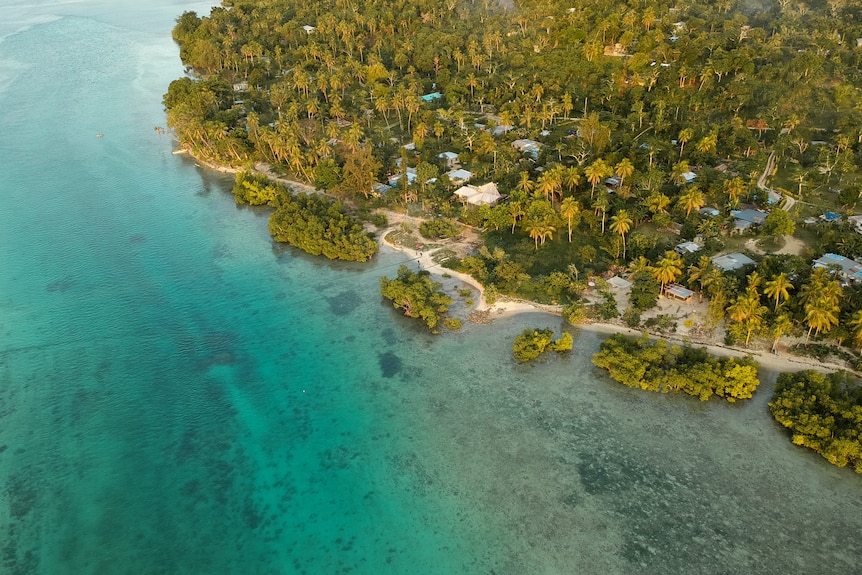 A drone photo of a green palm tree island meeting a bright blue ocean, with some houses dotted between the trees.