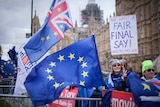 Remain protesters waving EU flags outside the British parliament