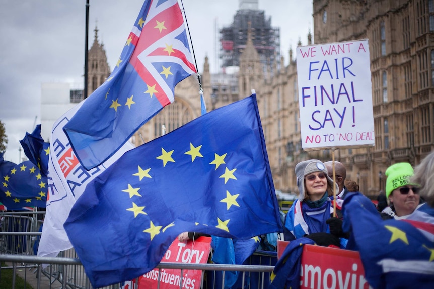 Remain protesters waving EU flags outside the British parliament