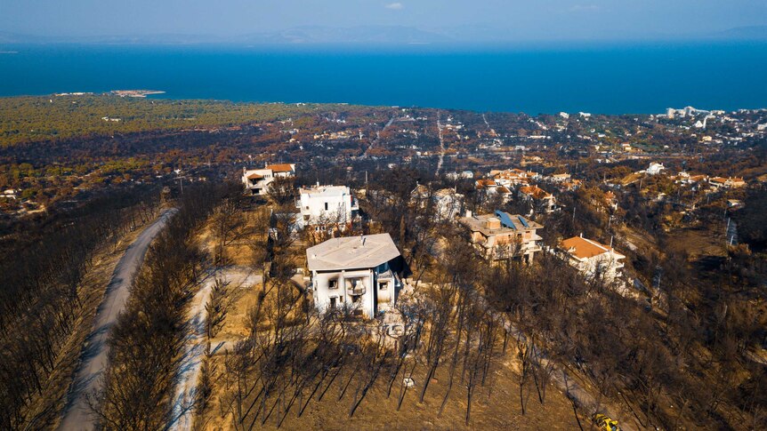 An aerial shot looking out to the water off Mati.