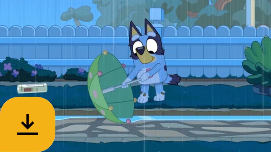 Bluey uses an umbrella to collect rainwater from the pudd