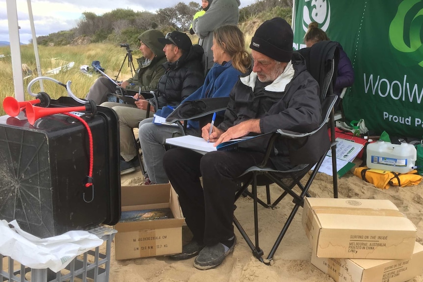 Mick Lawrence working at the junior championships