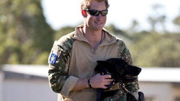 Captain Wales with a military working dog